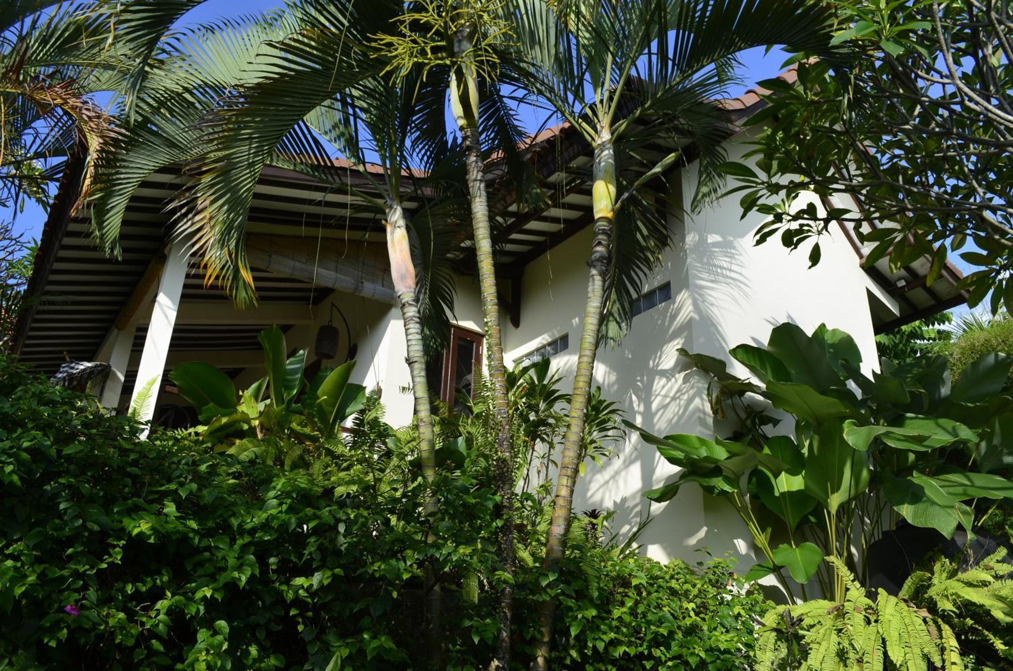 Alamanda Lovina Resort Exteriör bild