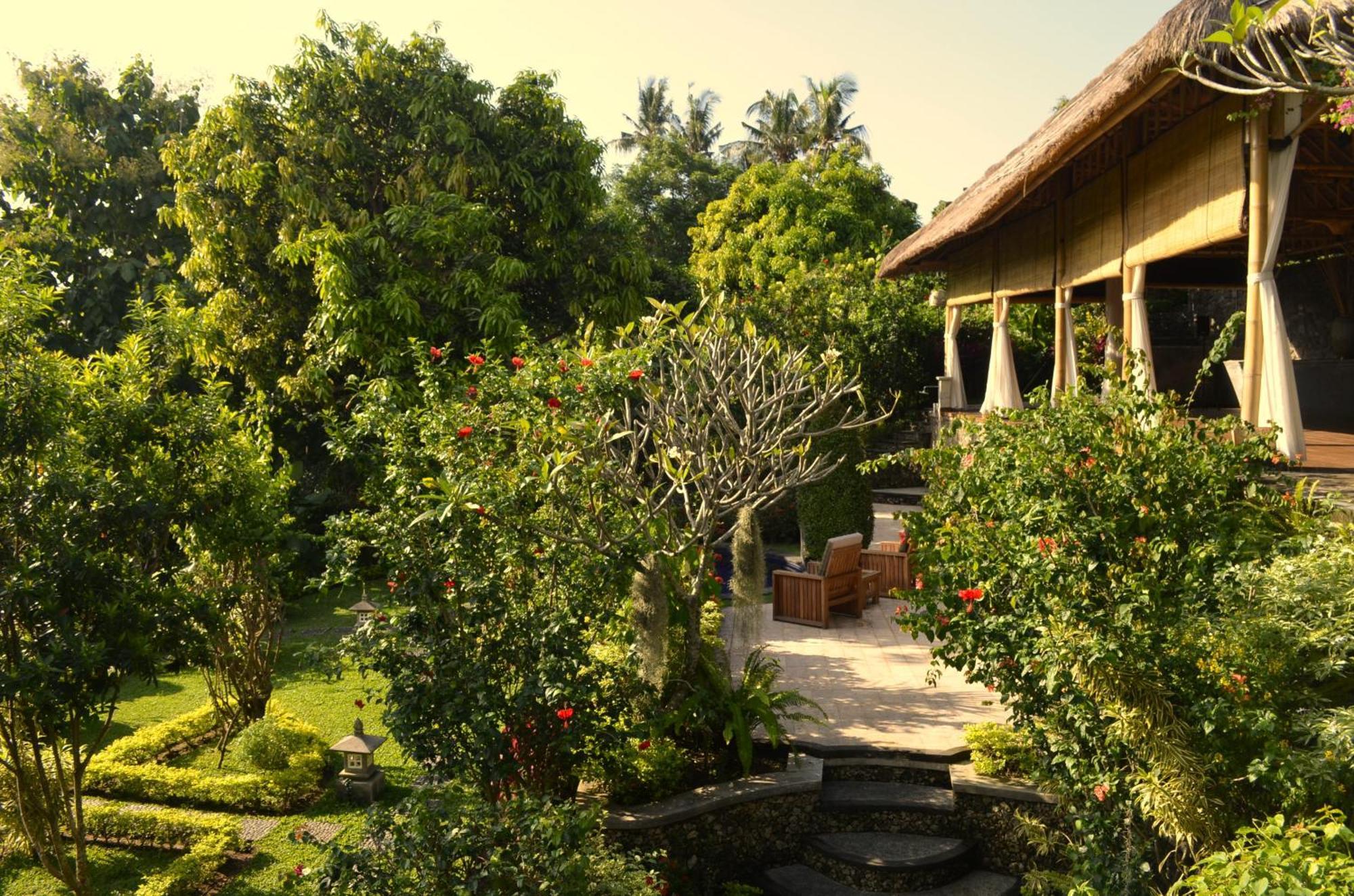 Alamanda Lovina Resort Exteriör bild